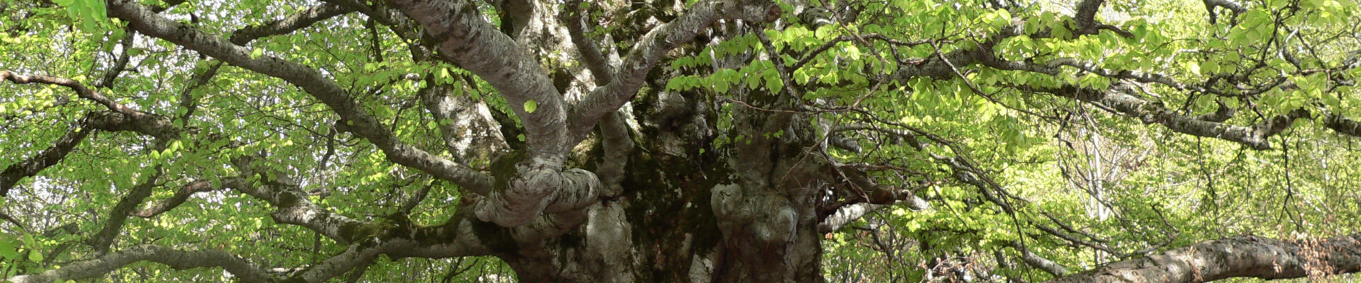 Vidéos Lieux Sacrés